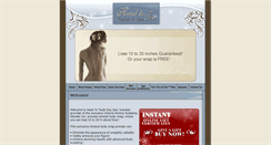 Desktop Screenshot of headtotoesalon.com